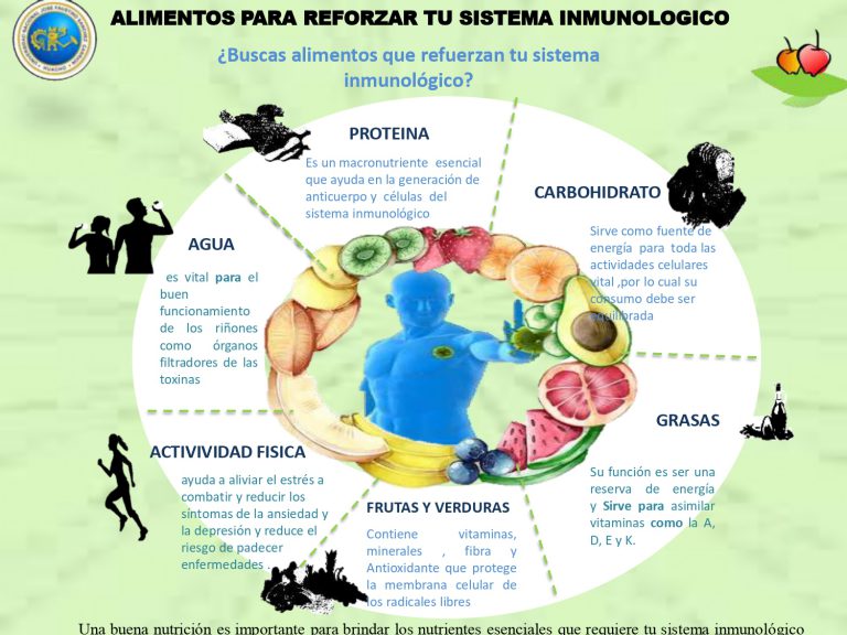 Alimentos para reforzar el sistema inmunológico – Oficina de Bienestar ...